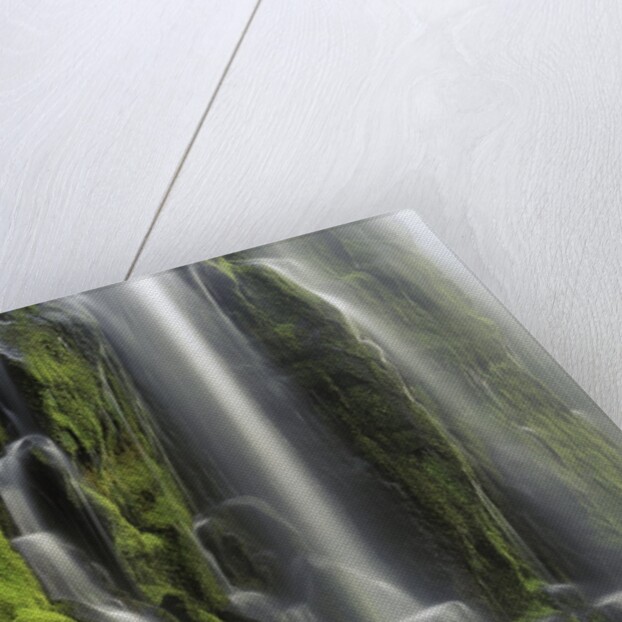 USA, Oregon, Proxy Falls - Waterfall Details by Anonymous