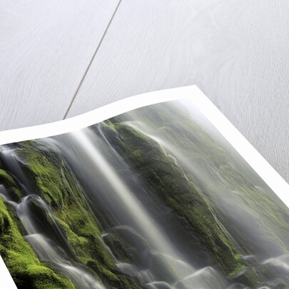 USA, Oregon, Proxy Falls - Waterfall Details by Anonymous