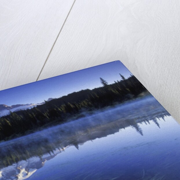 USA, Mount Rainier National Park, Morning View from Reflection Lake by Anonymous
