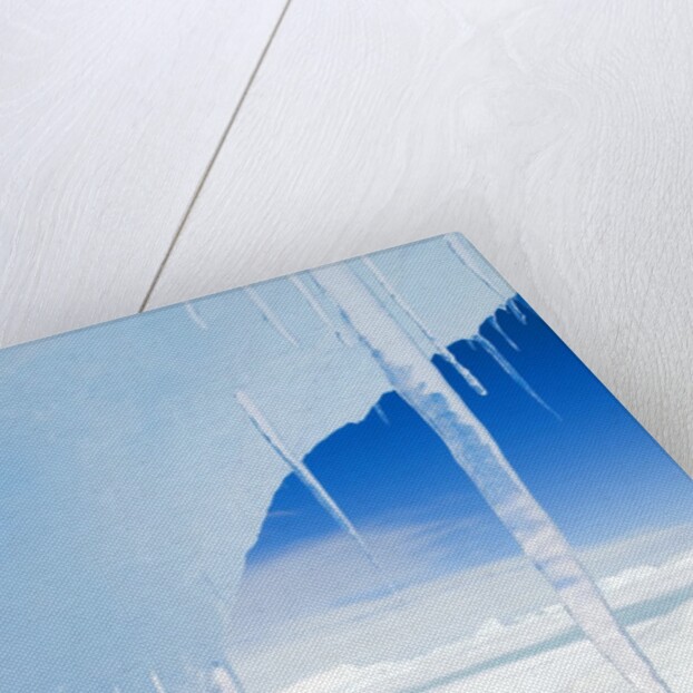 Antarctic Icicles, Snow Hill Island, Weddell Sea, Antarctica by Anonymous