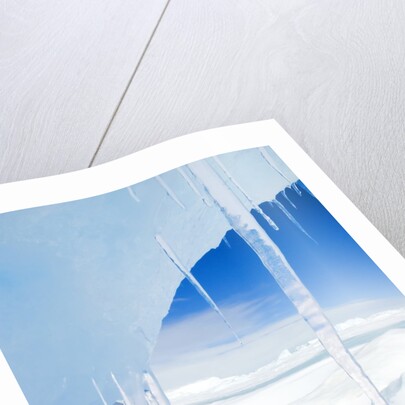 Antarctic Icicles, Snow Hill Island, Weddell Sea, Antarctica by Anonymous