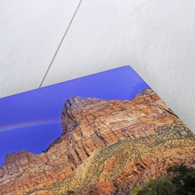 Rainbow, The Watchman, Zion National Park, Utah, USA by Anonymous