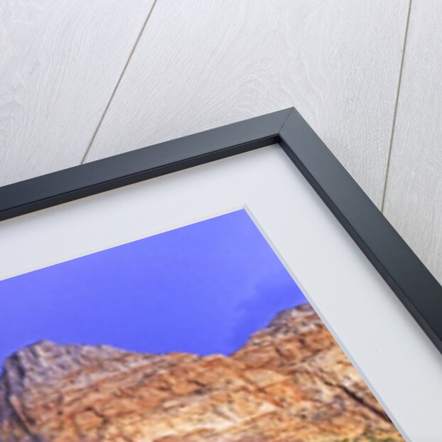 Rainbow, The Watchman, Zion National Park, Utah, USA by Anonymous