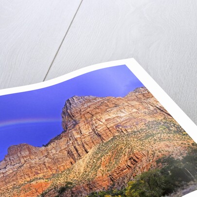 Rainbow, The Watchman, Zion National Park, Utah, USA by Anonymous