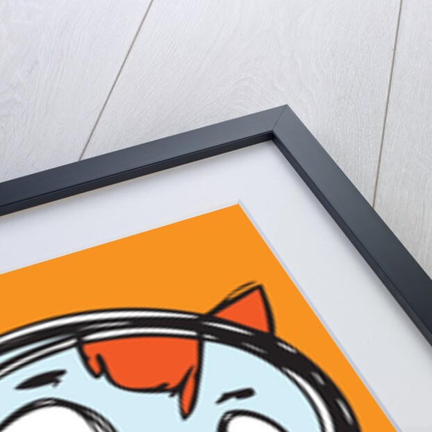 Confused cat by Anonymous