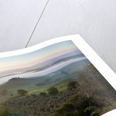 Ground fog at dawn in Val d'Orcia by Anonymous
