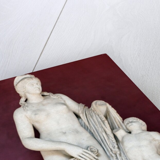 Venus Felix by Anonymous