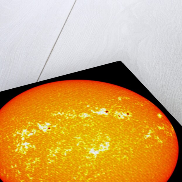 The Sun by Anonymous