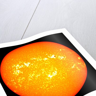 The Sun by Anonymous