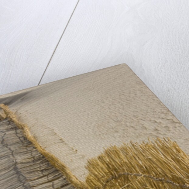Reed fencing holding sand to prevent desertification by Anonymous