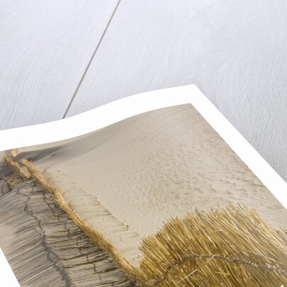 Reed fencing holding sand to prevent desertification by Anonymous