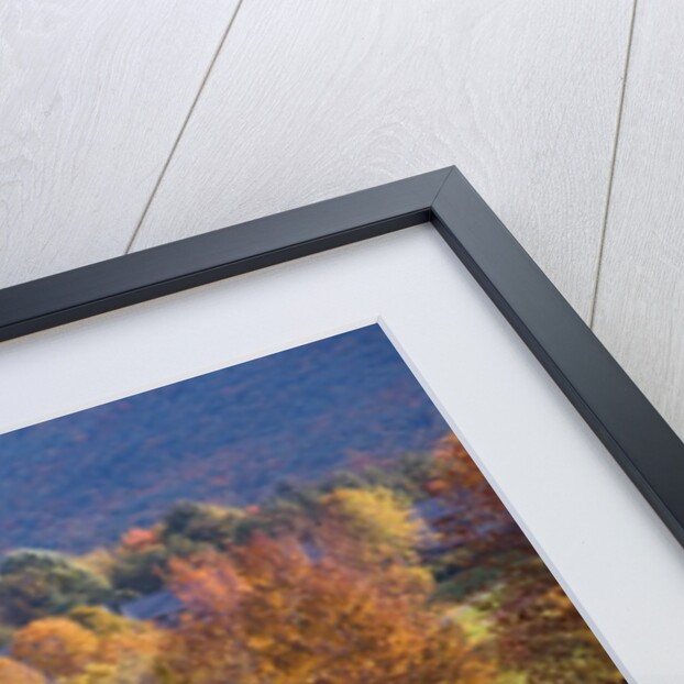 Golf course in Manchester, Vermont by Anonymous