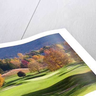 Golf course in Manchester, Vermont by Anonymous