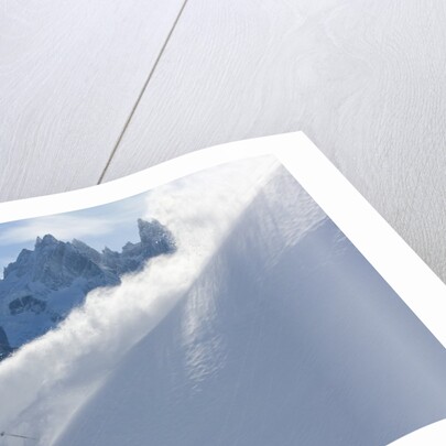 Backcountry skier by Anonymous
