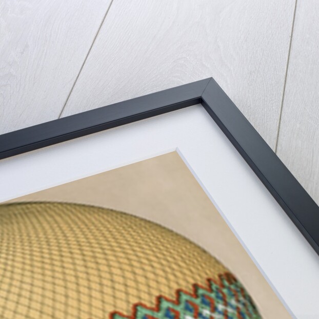 Le Tricolore by Anonymous