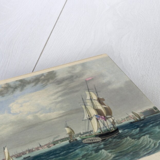 New York Harbor by Anonymous