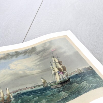 New York Harbor by Anonymous