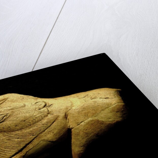 Neolithic ivory bison by Anonymous