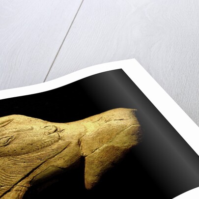 Neolithic ivory bison by Anonymous