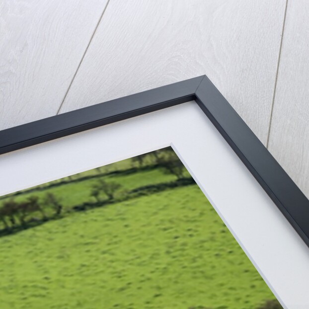 Rich green pastureland in countryside of Northern Ireland by Anonymous