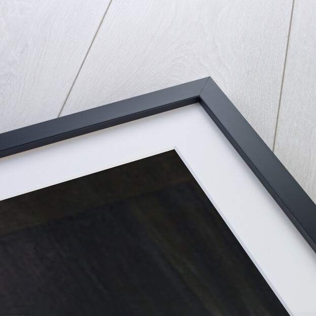 Woman at Her Toilet by Jan Steen