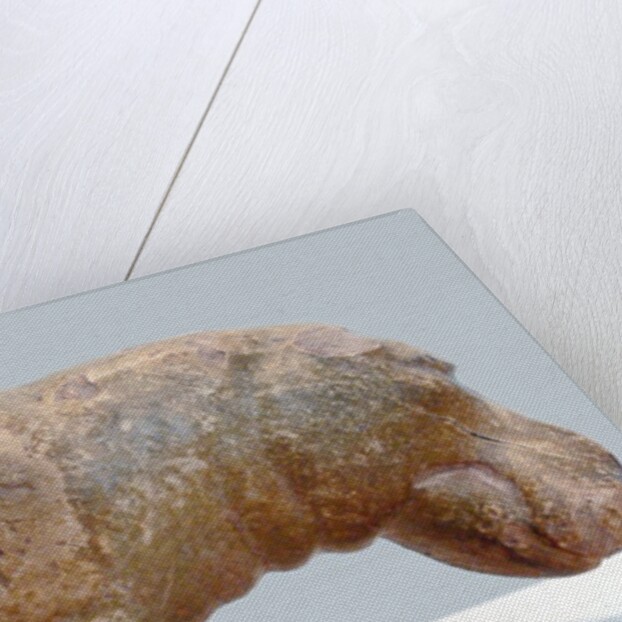 Egyptian fayence sculpture of hippopotamus by Anonymous