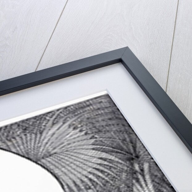 Caricature of Professor Gilbert Murray and the League of Nations by Anonymous