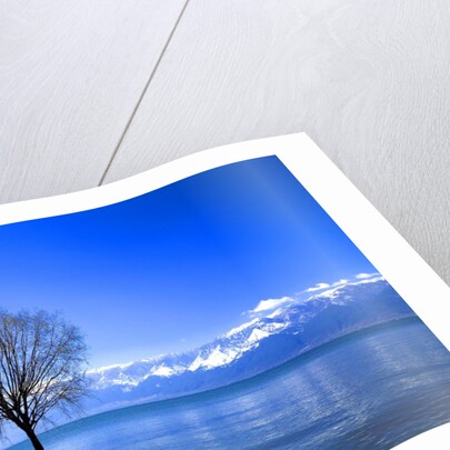 Tree in Erhai Lake, Yunnan, China by Anonymous