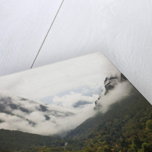Hailuogou Glacier Forest Park by Anonymous