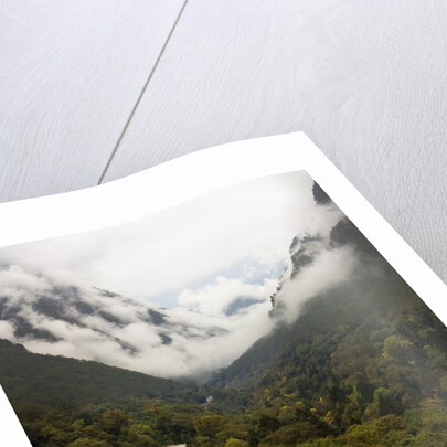Hailuogou Glacier Forest Park by Anonymous