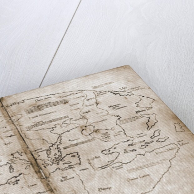 Vinland Map of New World by Anonymous