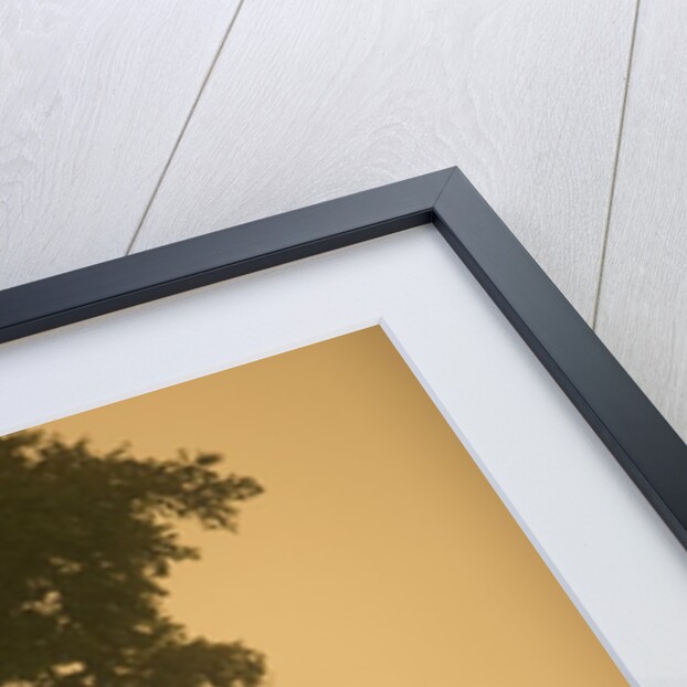 Adirondack chair on dock by Anonymous