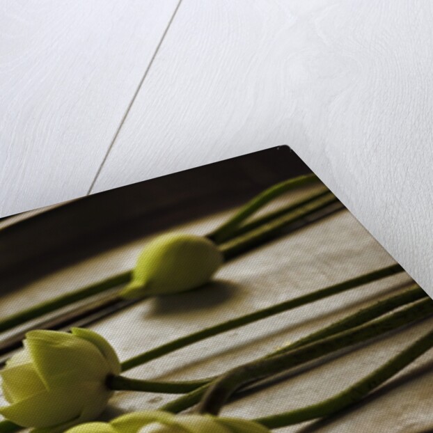 Lotus buds in offering plate at Ayuthaya in Thailand by Anonymous