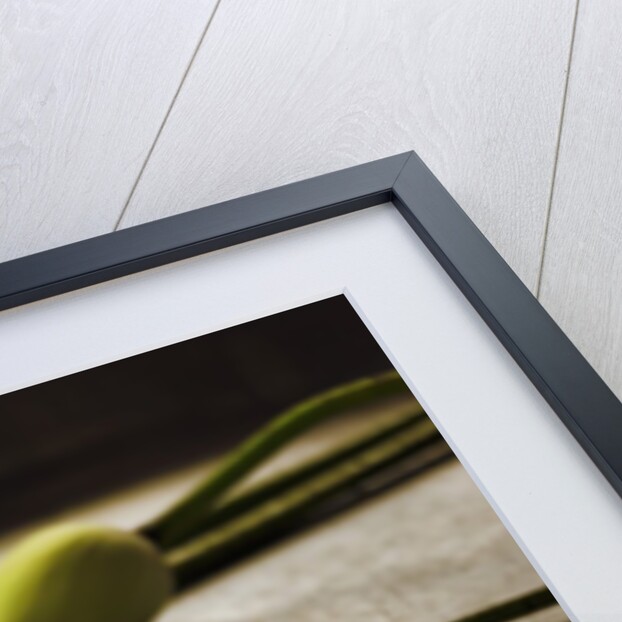 Lotus buds in offering plate at Ayuthaya in Thailand by Anonymous