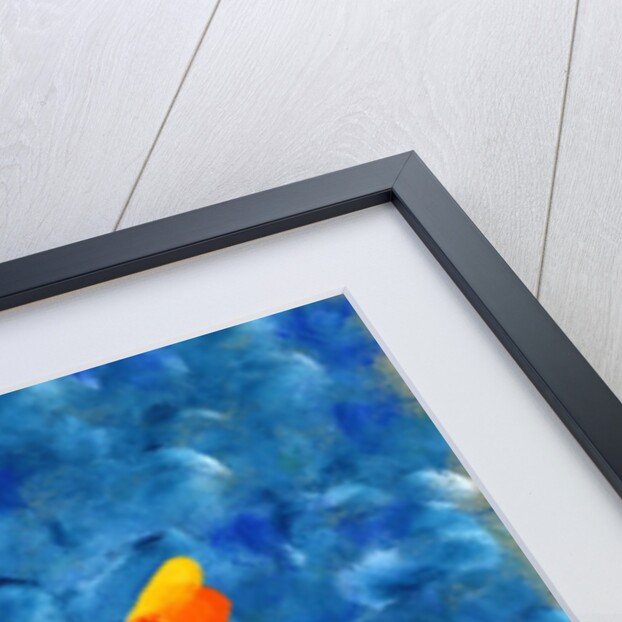 Spotted colorful fish by Anonymous