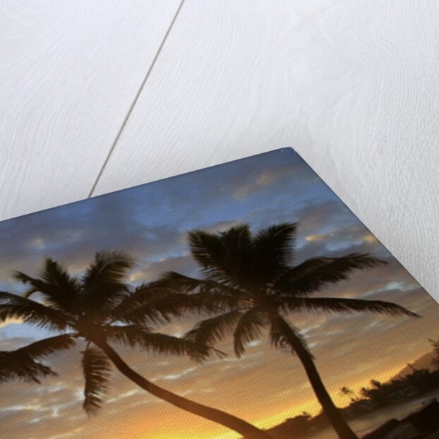Sunrise, Windward Oahu, Hawaii by Anonymous