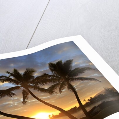Sunrise, Windward Oahu, Hawaii by Anonymous