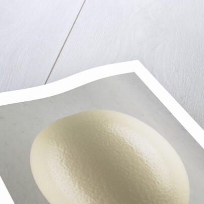 Egg by Anonymous