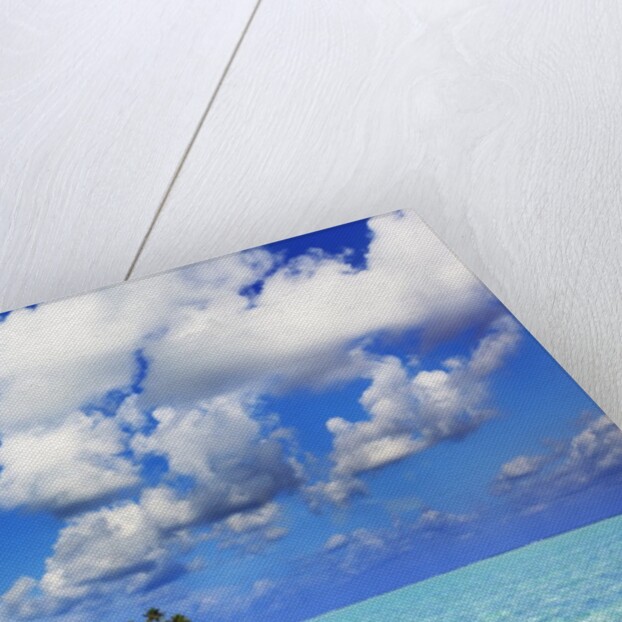 Idyllic atoll in the Maldives by Anonymous