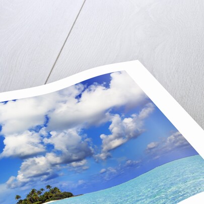 Idyllic atoll in the Maldives by Anonymous