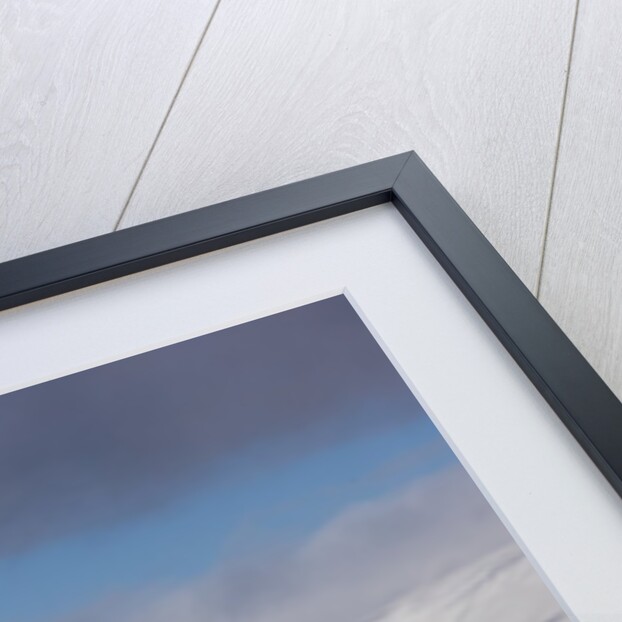 Adelie Penguins on ice pack just off of Paulet Island by Anonymous