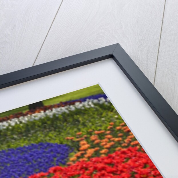 Tulips and hyacinth in Keukenhof Gardens by Anonymous