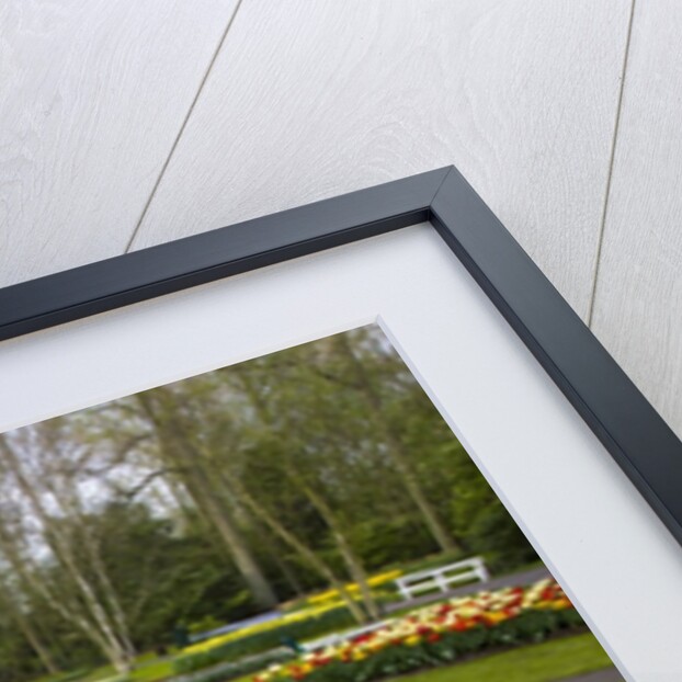 Tulips in Keukenhof Gardens by Anonymous