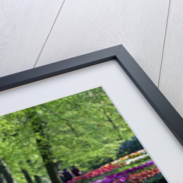 Tulips and hyacinth in Keukenhof Gardens by Anonymous