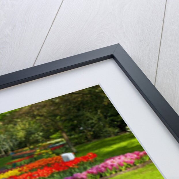 Walkway among tulips and hyacinth in Keukenhof Gardens by Anonymous