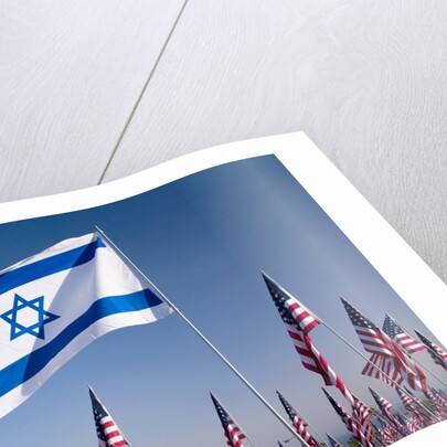 Israeli and American flags during 3000 Flags for 9-11 tribute by Anonymous