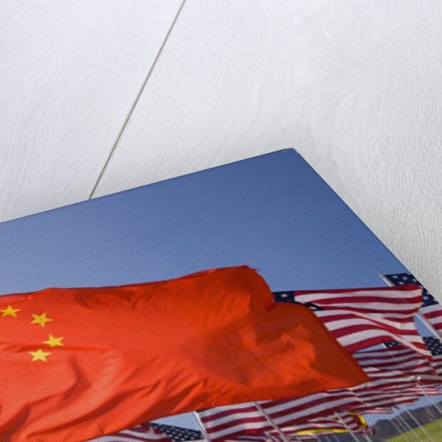 Chinese and American flags during 3000 Flags for 9-11 tribute by Anonymous