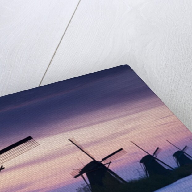 Row of windmills at sunrise in the Netherlands by Anonymous
