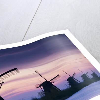 Row of windmills at sunrise in the Netherlands by Anonymous