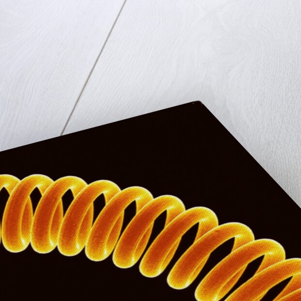 Filament of light bulb by Anonymous